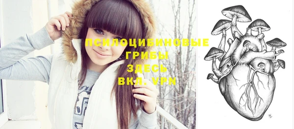 дурь Богородицк