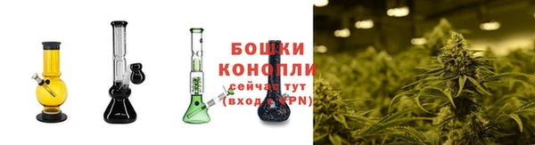ГАЛЛЮЦИНОГЕННЫЕ ГРИБЫ Богородск