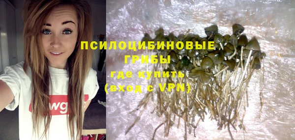 ГАЛЛЮЦИНОГЕННЫЕ ГРИБЫ Богородск