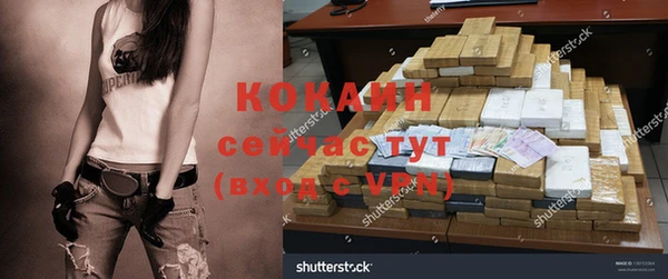 a pvp Бородино
